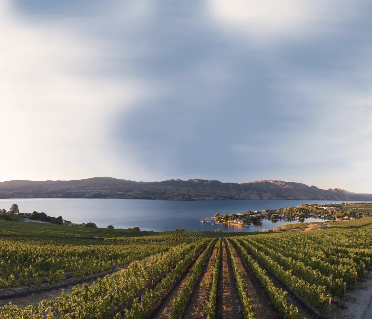 Quails’ Gate Winery in West Kelowna